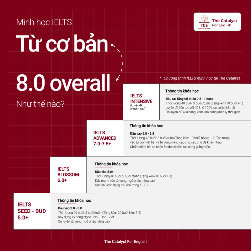 Lộ trình học IELTS từ cơ bản đến 8.0 Overall