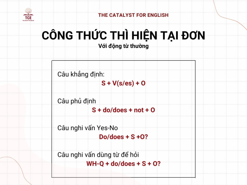 Công thức thì hiện tại đơn với động từ thường