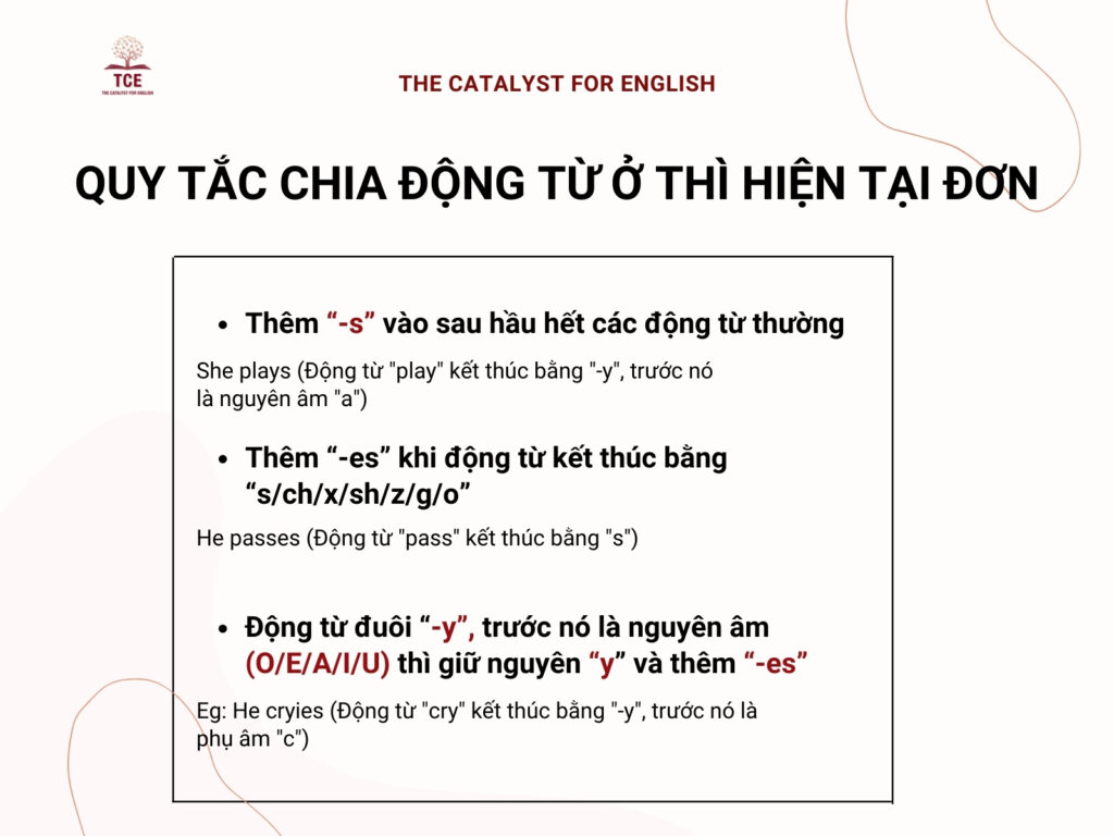 Chi tiết quy tắc chia động từ ở thì hiện tại đơn