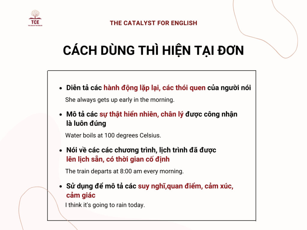 Cách dùng thì hiện tại đơn