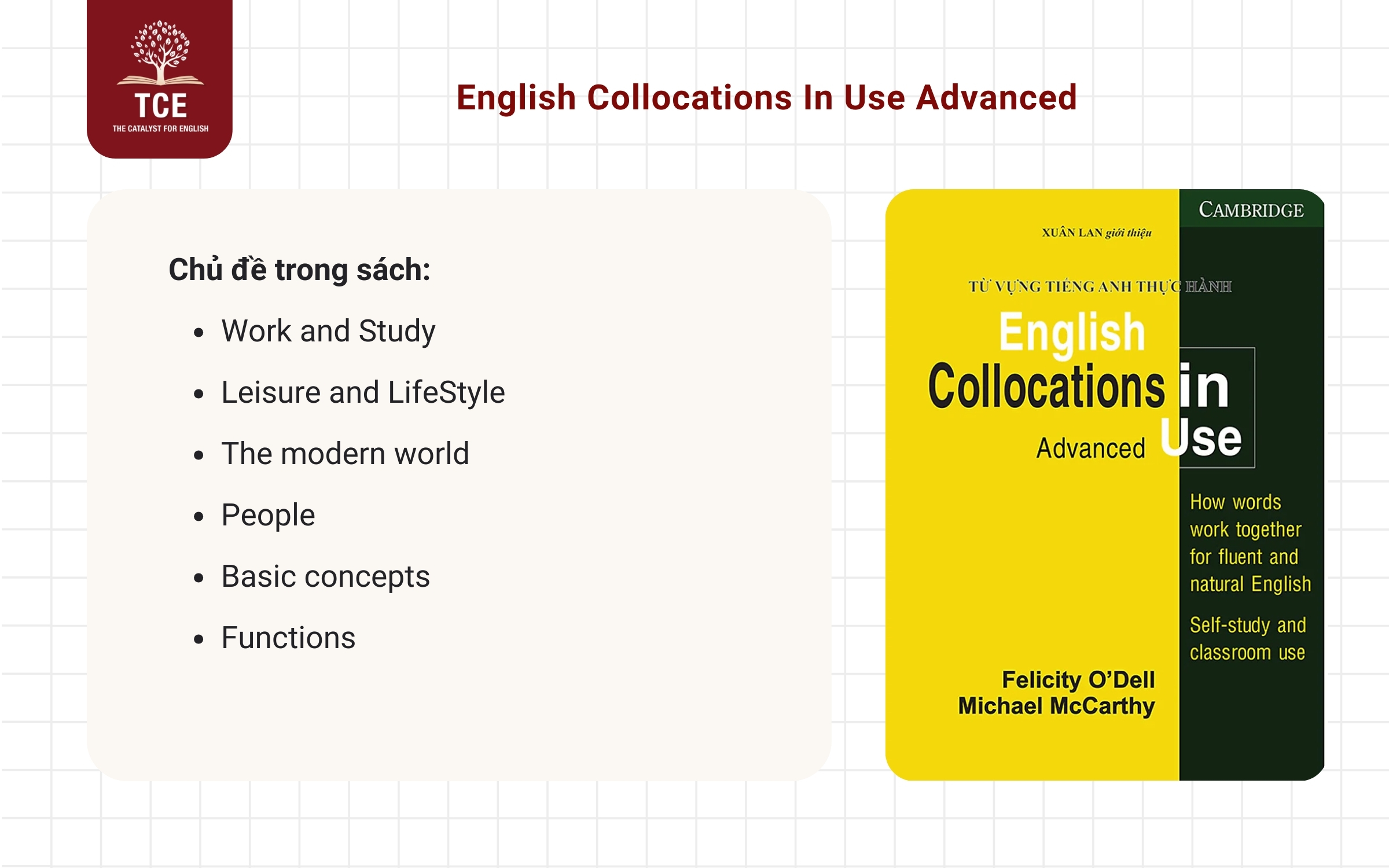 English Collocations In Use Advanced PDF