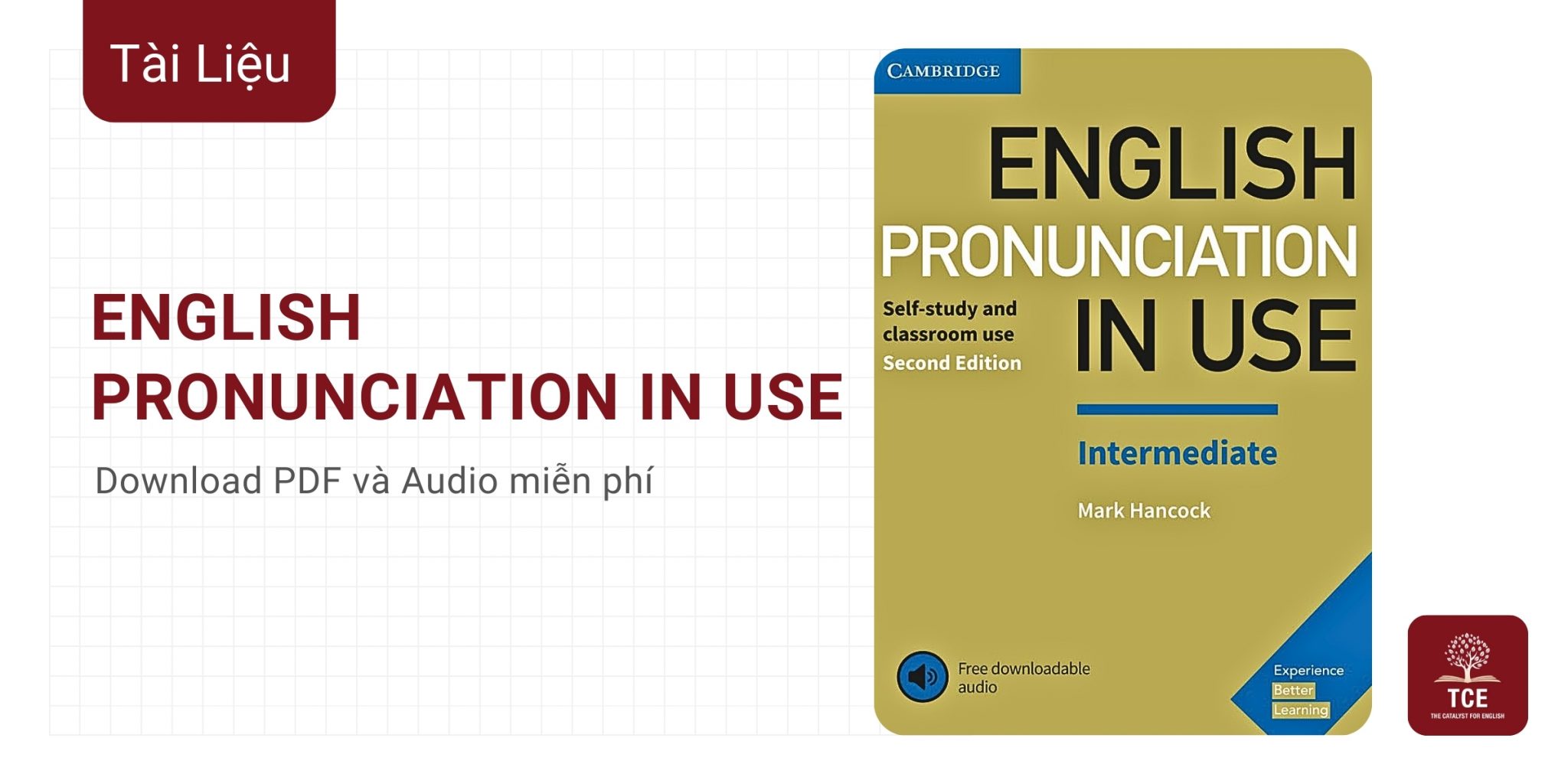 Download bộ English Pronunciation In Use PDF và Audio The Catalyst
