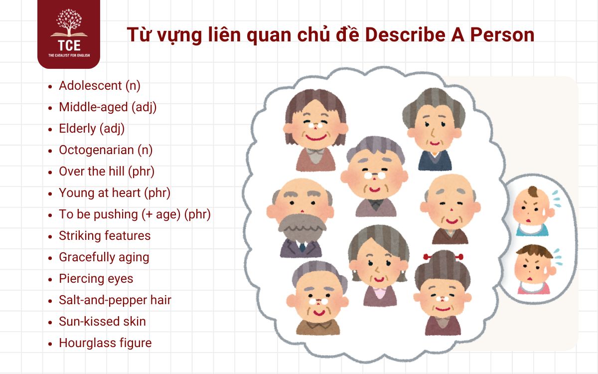 Từ vựng liên quan chủ đề Describe A Person