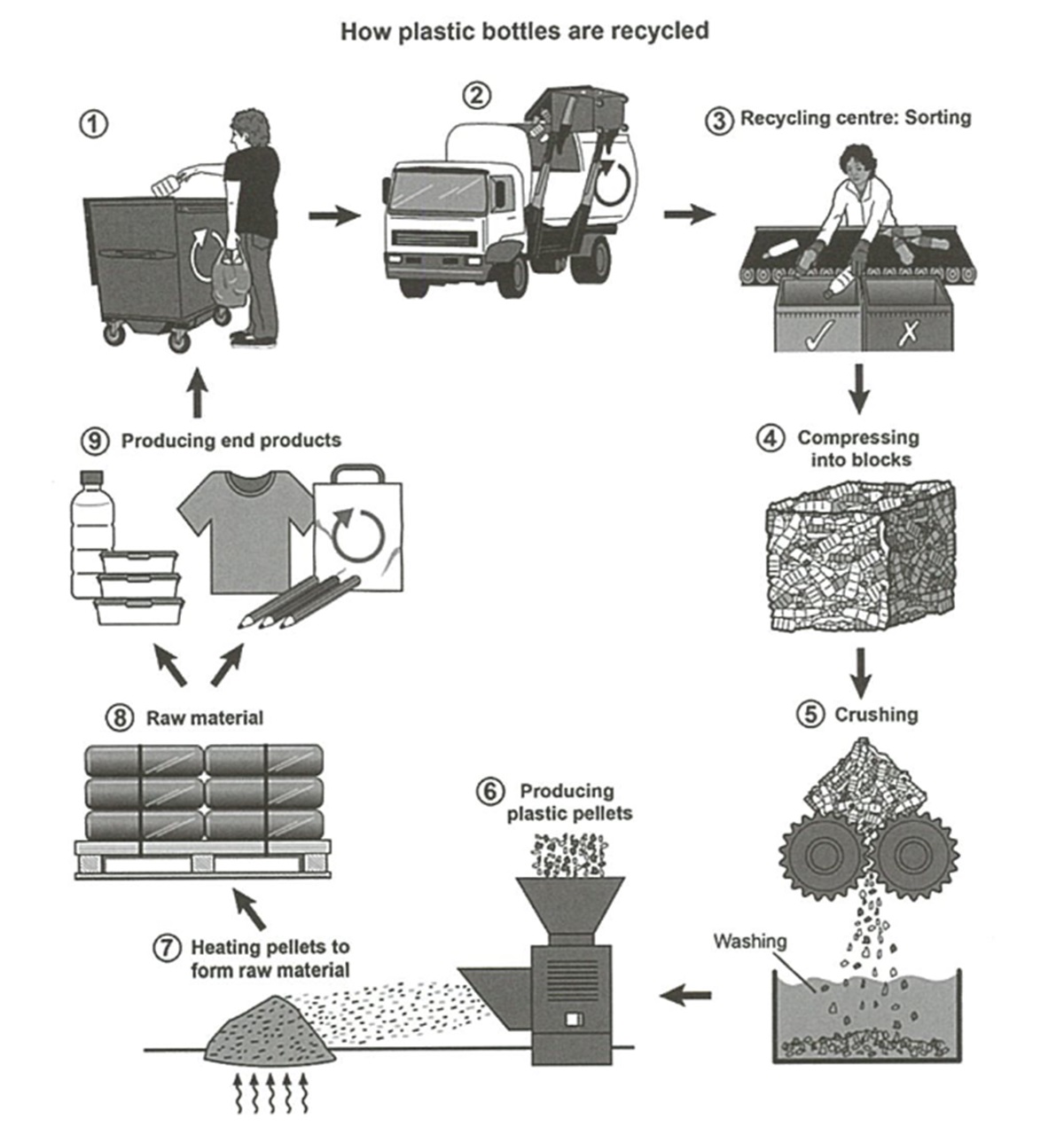 Sơ đồ quy trình (Process Diagram)