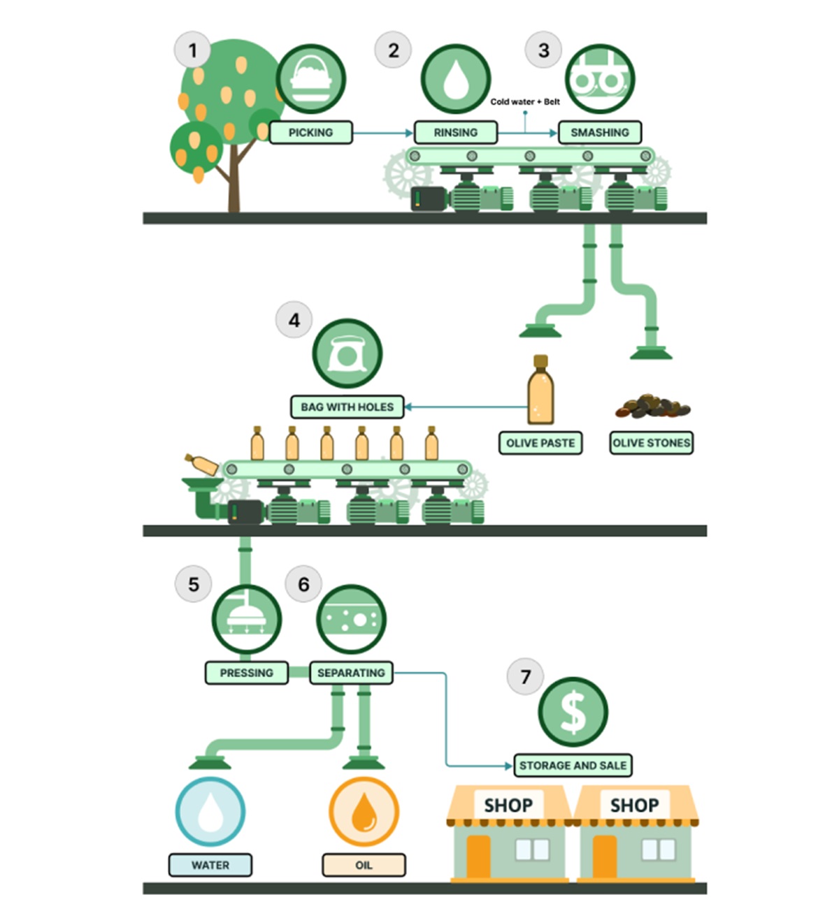 The diagram below shows the production of olive oil