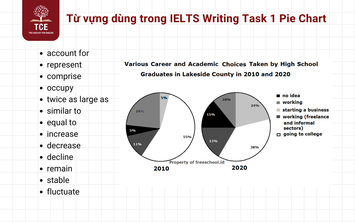 Từ vựng và cấu trúc câu dùng trong IELTS Writing Task 1 Pie Chart