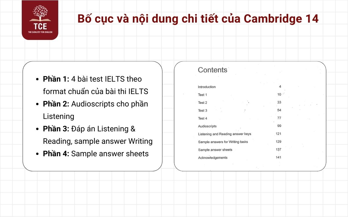 Bố cục và nội dung chi tiết của Cam 14