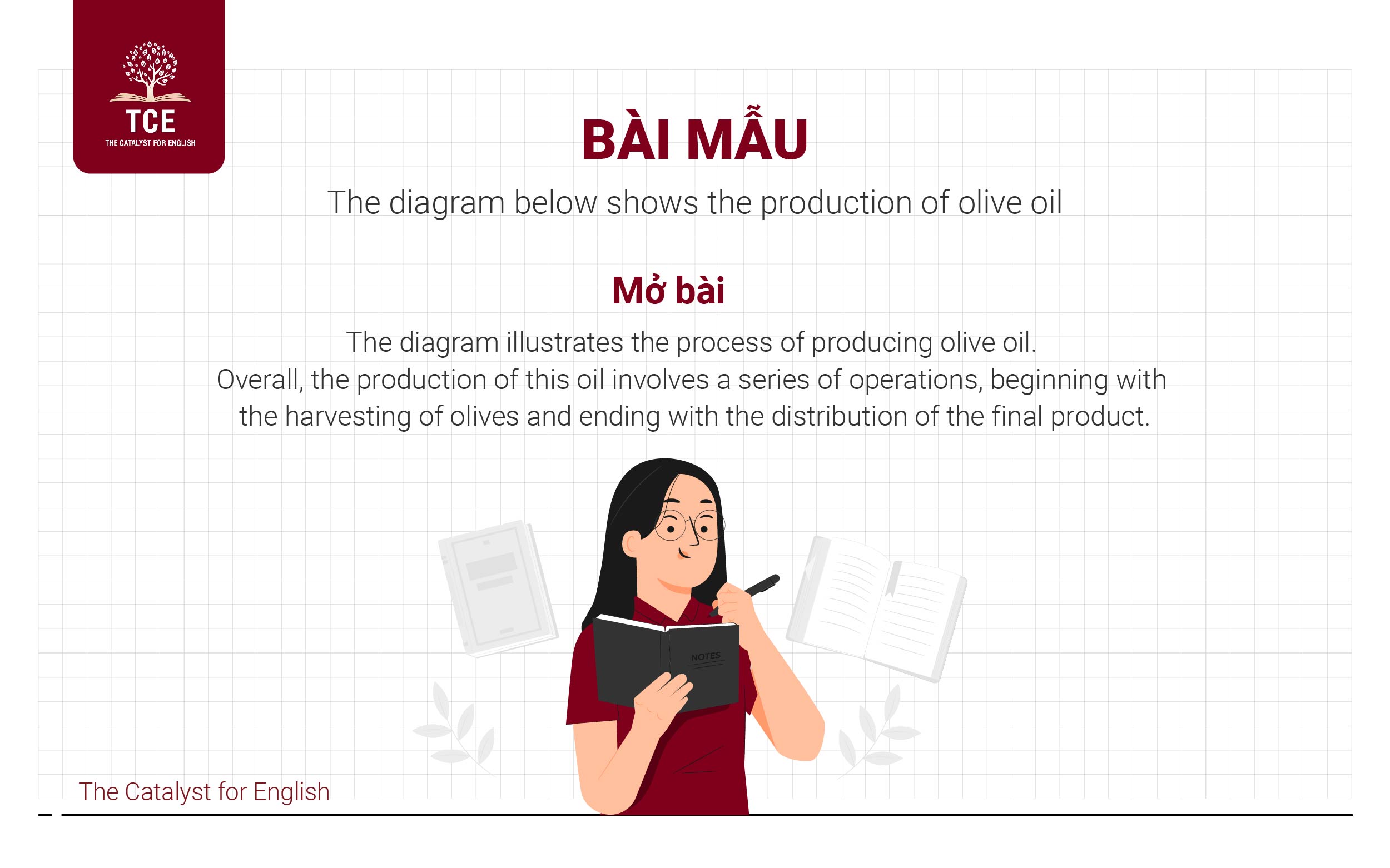 Bài mẫu “The diagram below shows the production of olive oil”