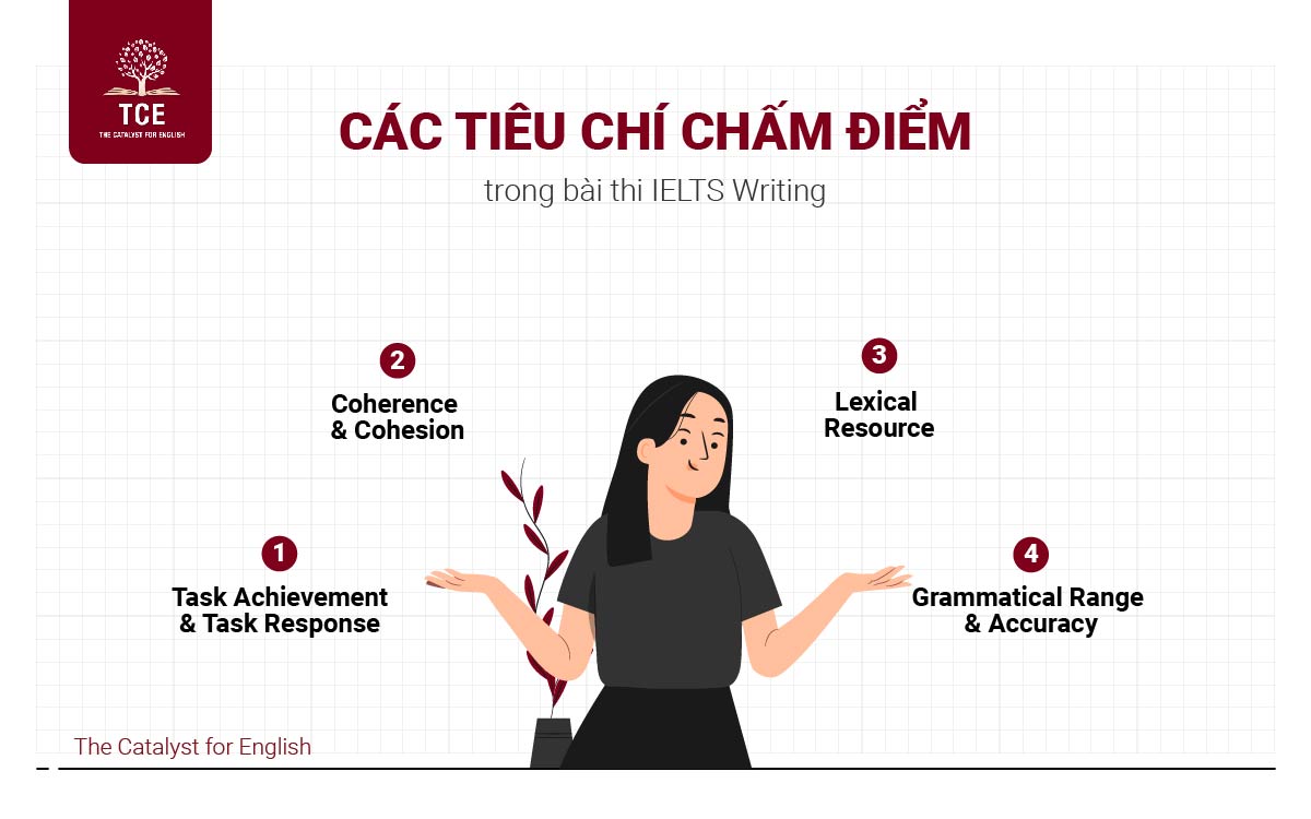 Sơ lược các tiêu chí chấm điểm IELTS Writing