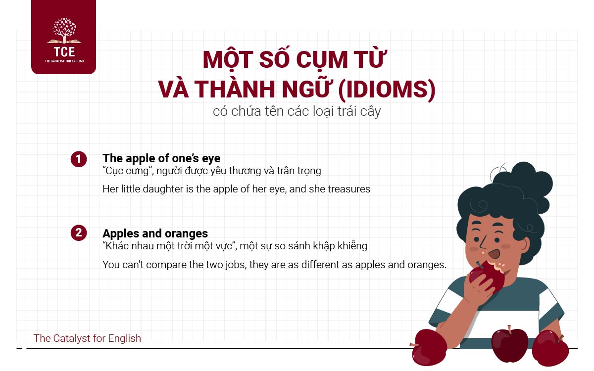 Một số cụm từ và thành ngữ (idioms) có chứa tên các loại trái cây