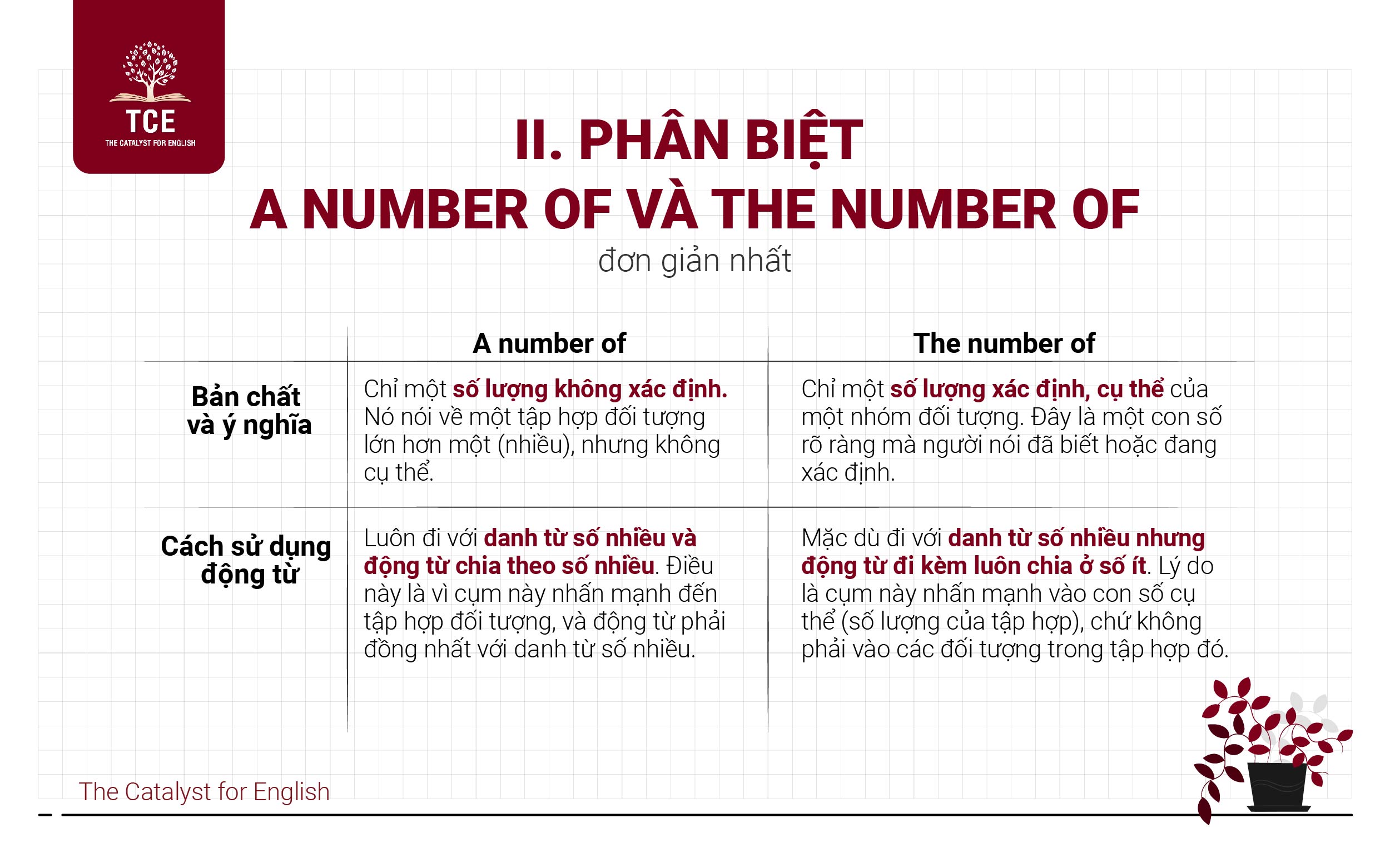 Phân biệt a number of và the number of đơn giản nhất