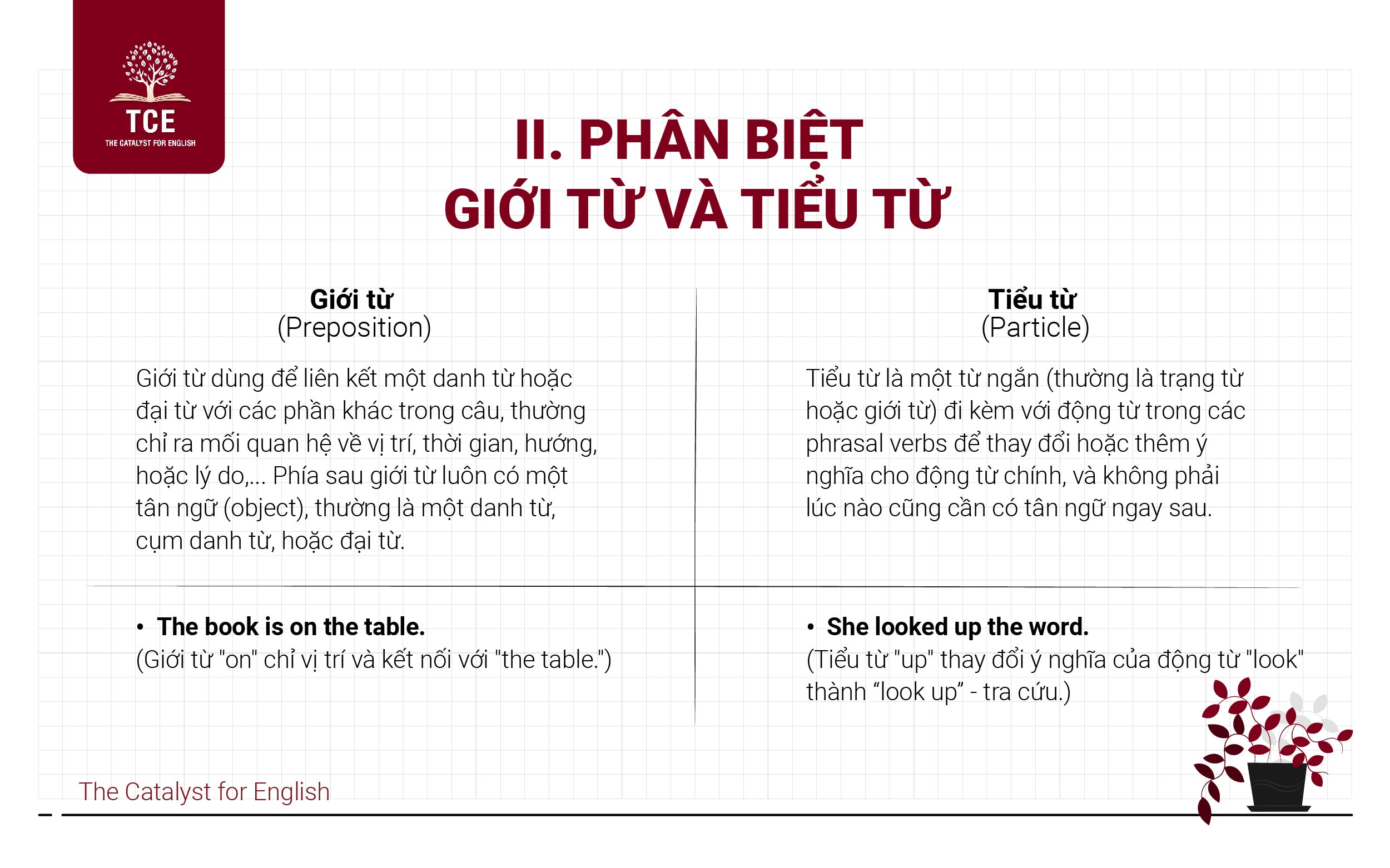 Phân biệt giới từ và tiểu từ