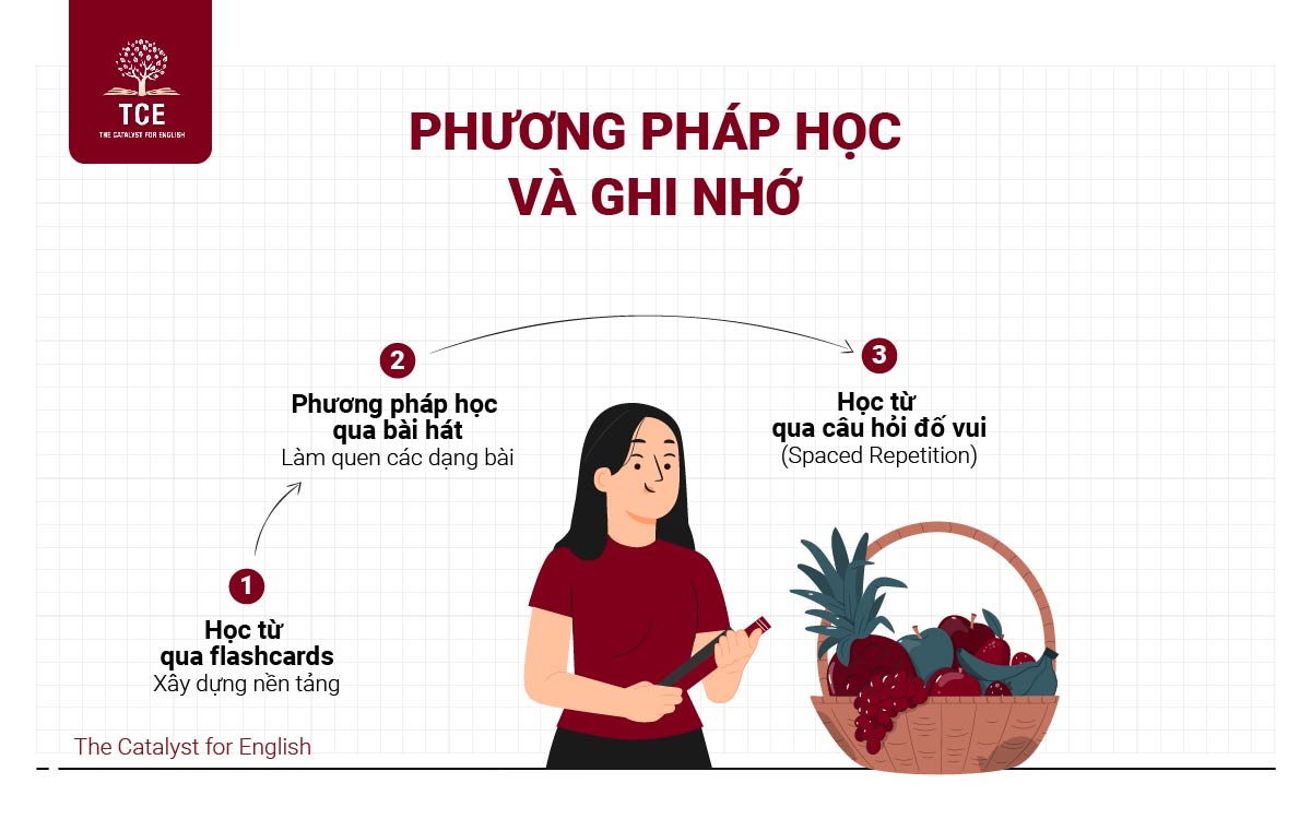 Phương pháp học và ghi nhớ các từ vựng tiếng Anh về trái cây