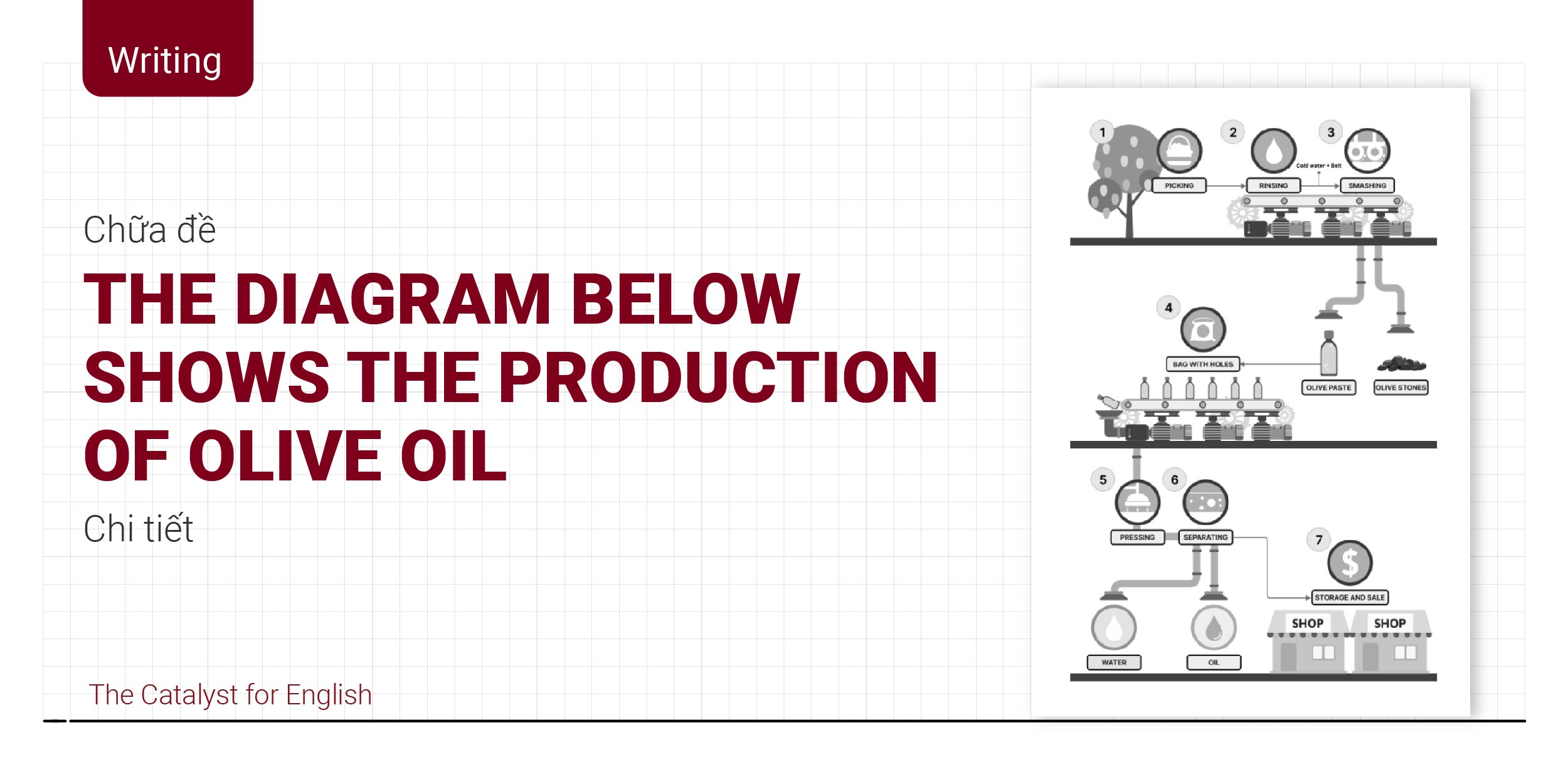 The diagram below shows the production of olive oil