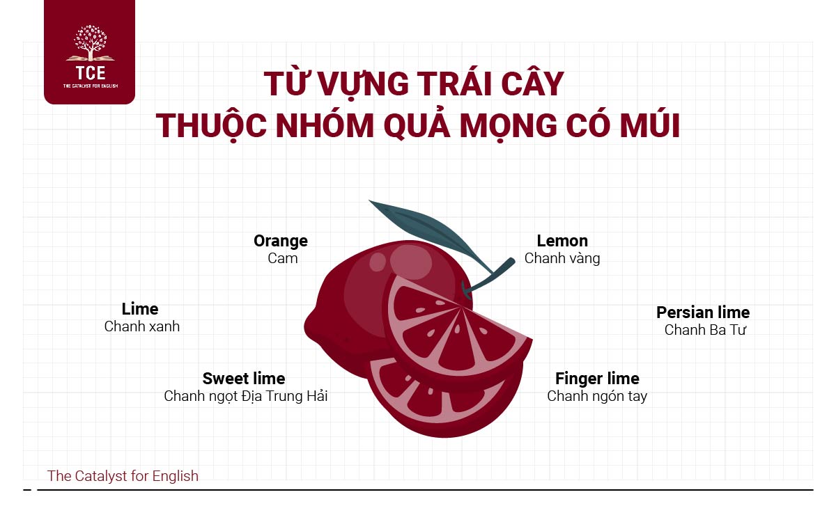 Từ vựng trái cây thuộc nhóm quả mọng có múi