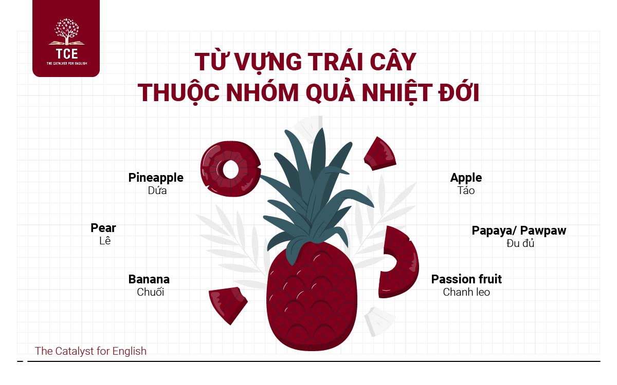 Từ vựng trái cây thuộc nhóm quả nhiệt đới