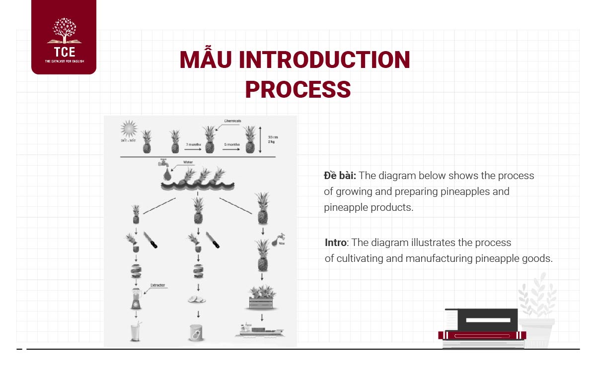 Đề bài dạng Process