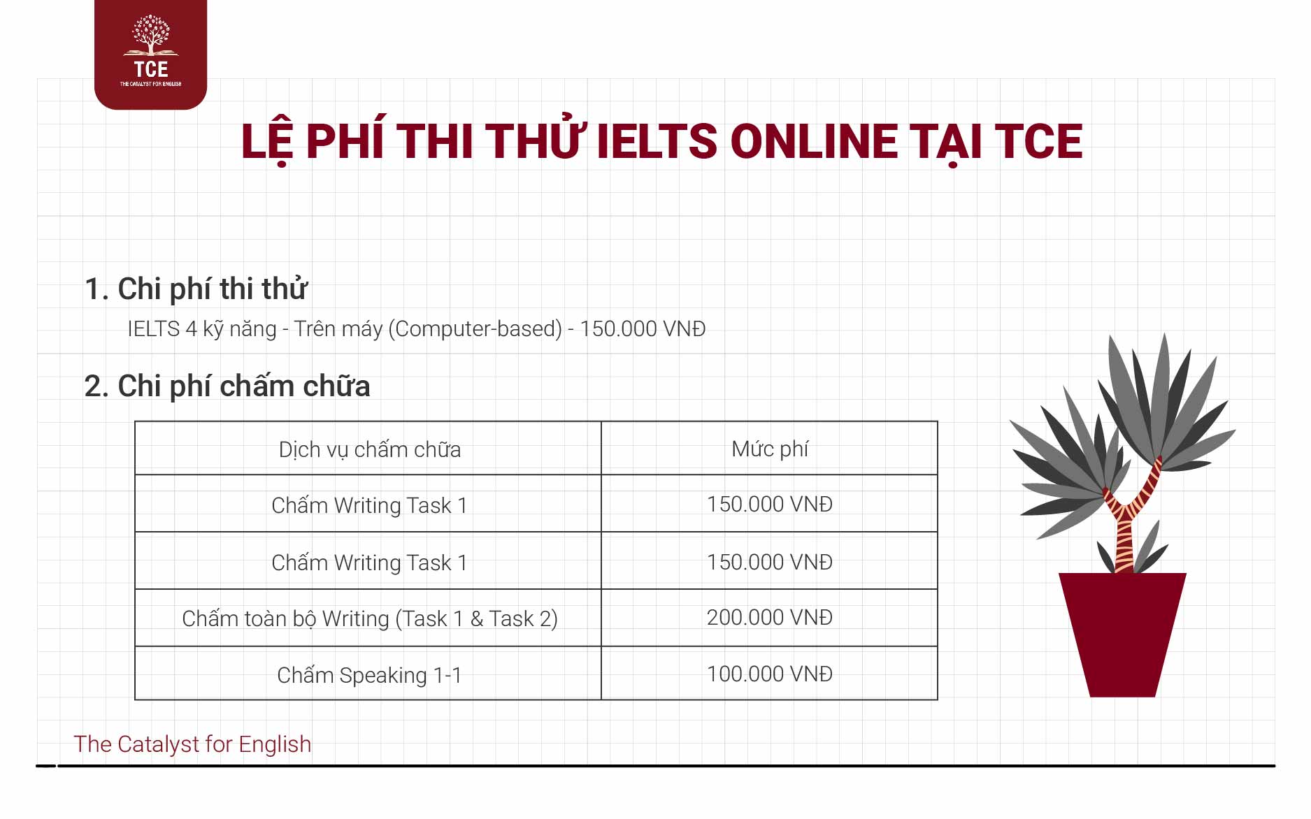 Lệ phí thi thử IELTS online tại TCE