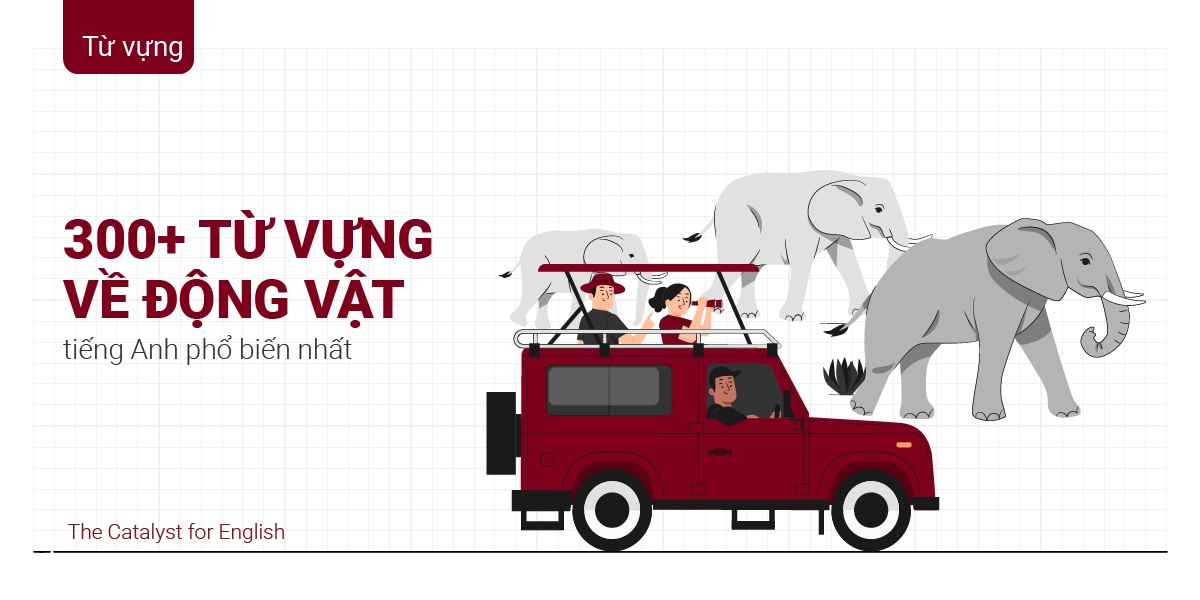 từ vựng về động vật thông dụng trong tiếng Anh