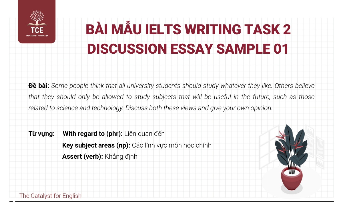 Bài mẫu IELTS Writing task 2 Discussion Essay Sample 01
