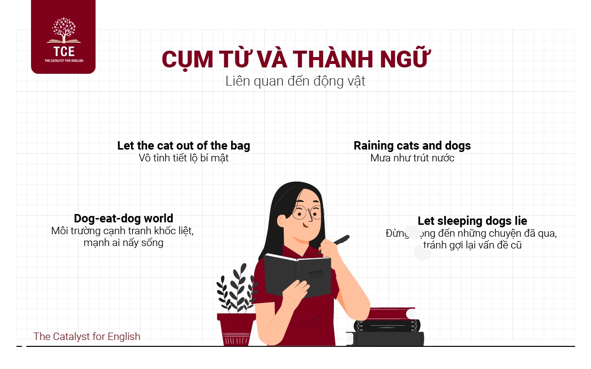 Các cụm từ và thành ngữ liên quan đến động vật