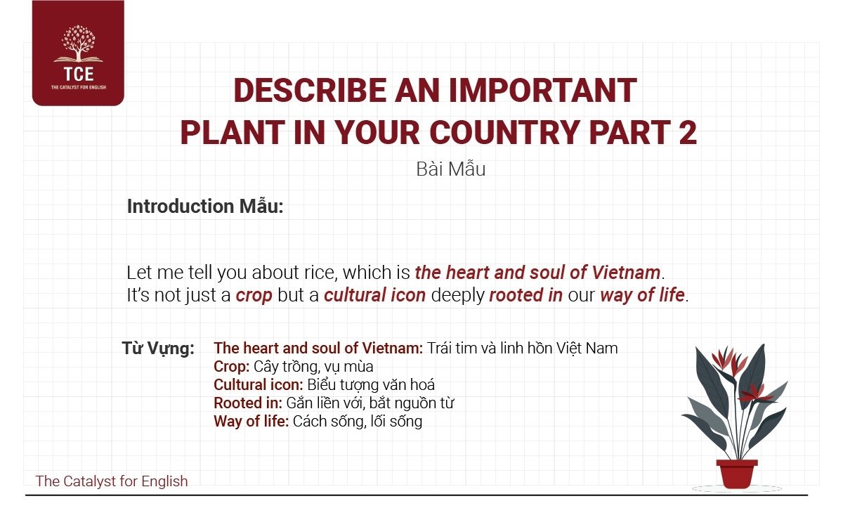 Describe an important plant in your country - Speaking Part 2