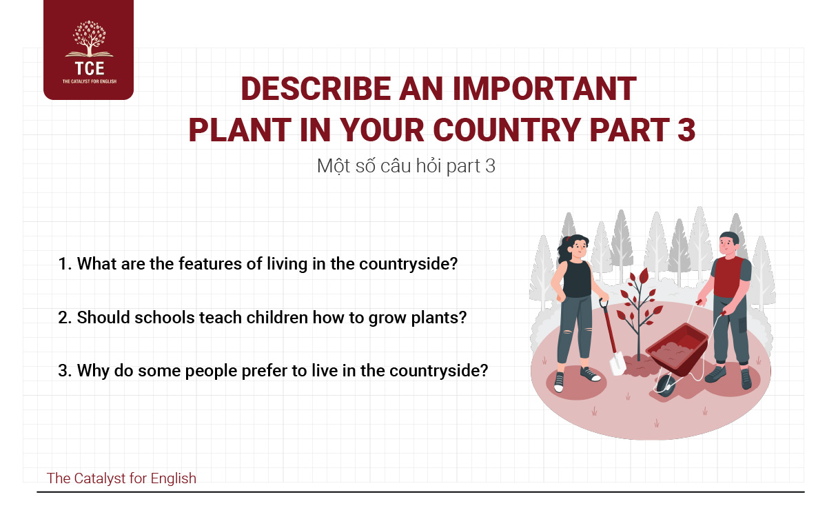 Describe an important plant in your country - Speaking Part 3