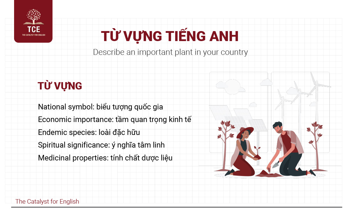 Từ vựng tiếng anh
