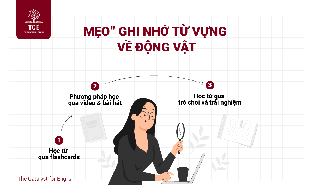 Mẹo ghi nhớ từ vựng về động vật hiệu quả