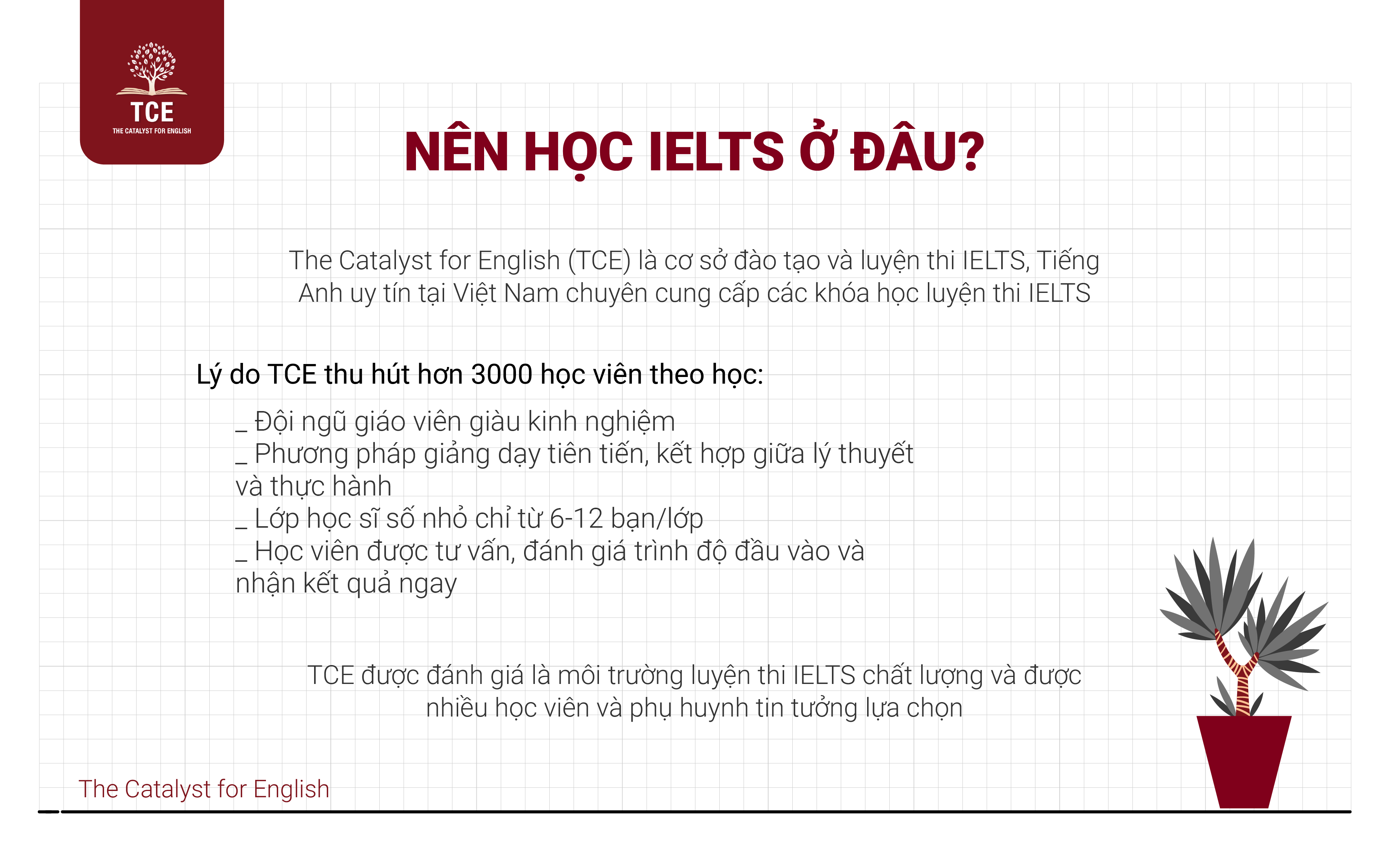 Nên học IELTS ở đâu
