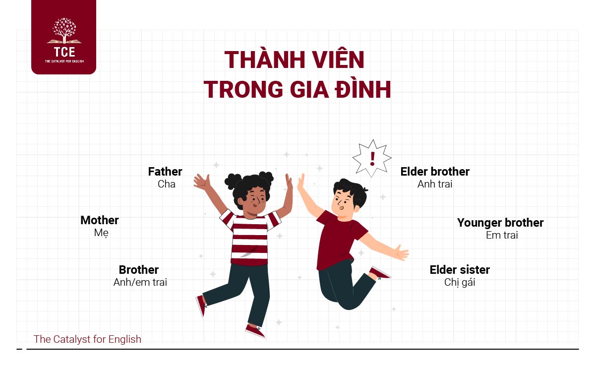 Từ vựng về gia đình - Thành viên trong gia đình