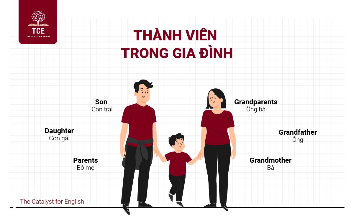 Từ vựng tiếng Anh chủ đề gia đình