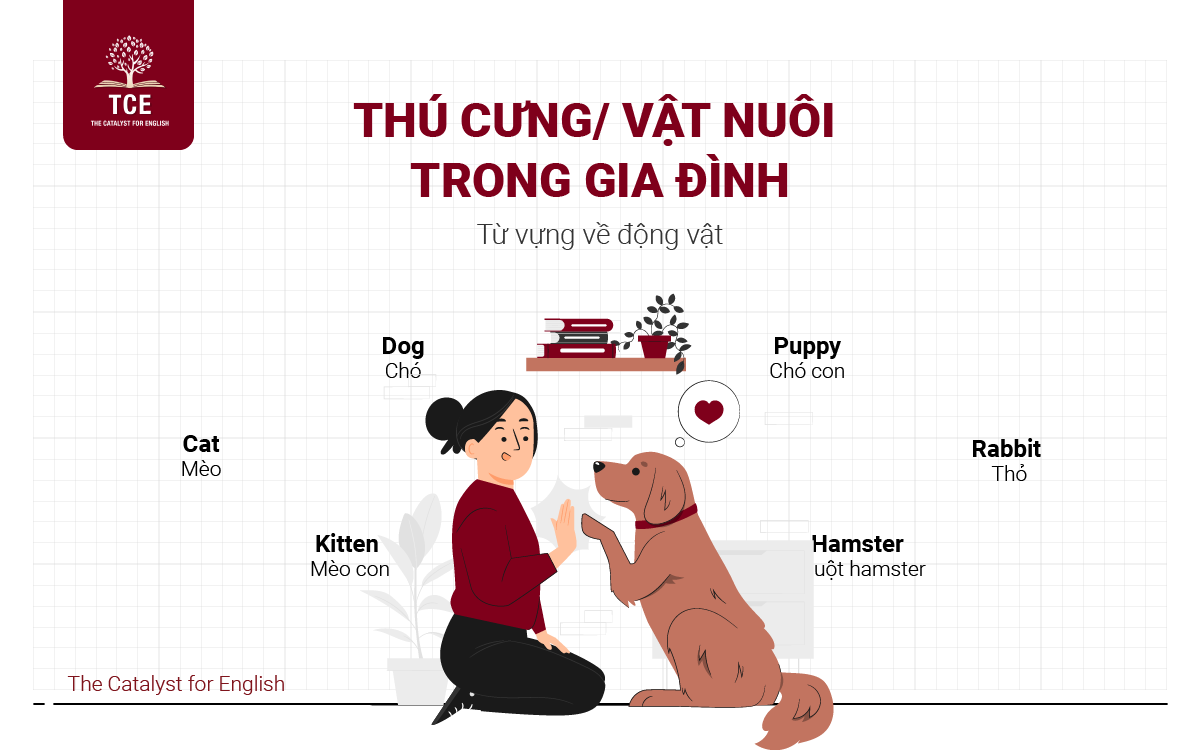 Từ vựng về động vật chỉ thú cưng/ vật nuôi trong gia đình