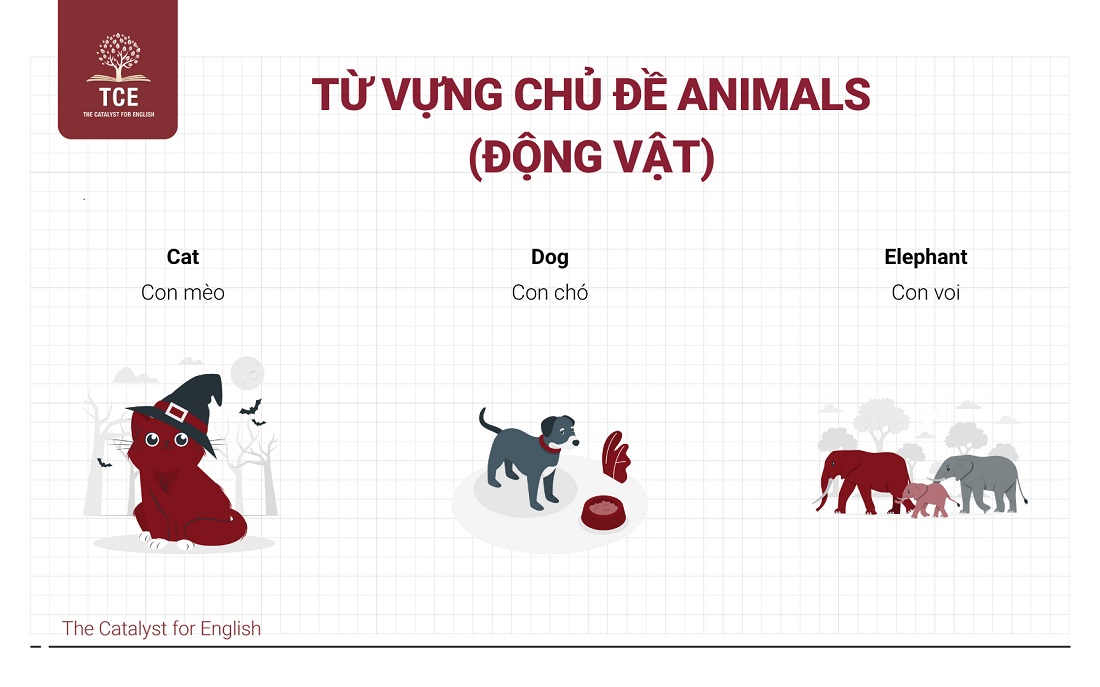 Từ vựng Flyers theo chủ đề: Animals (Động vật)