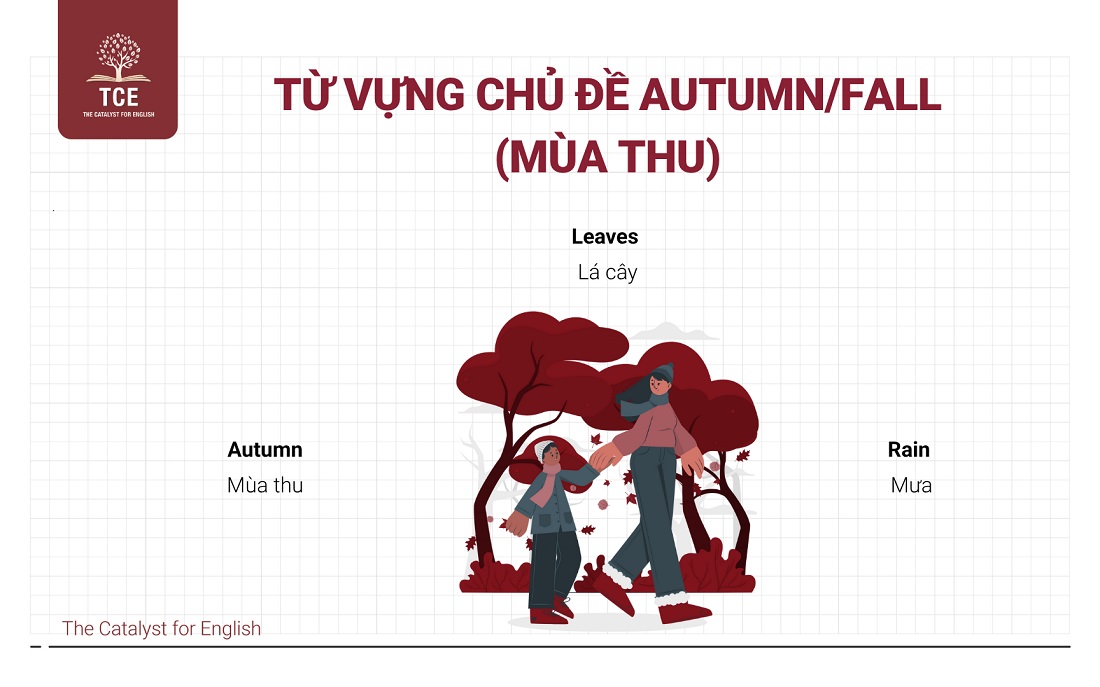 Từ vựng Flyers theo chủ đề: Autumn/ Fall (Mùa thu)