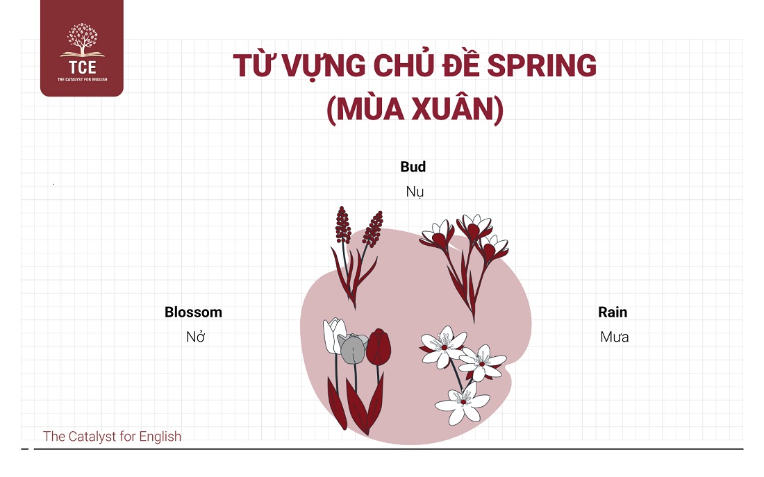 Từ vựng Flyers theo chủ đề: Spring (Mùa xuân)
