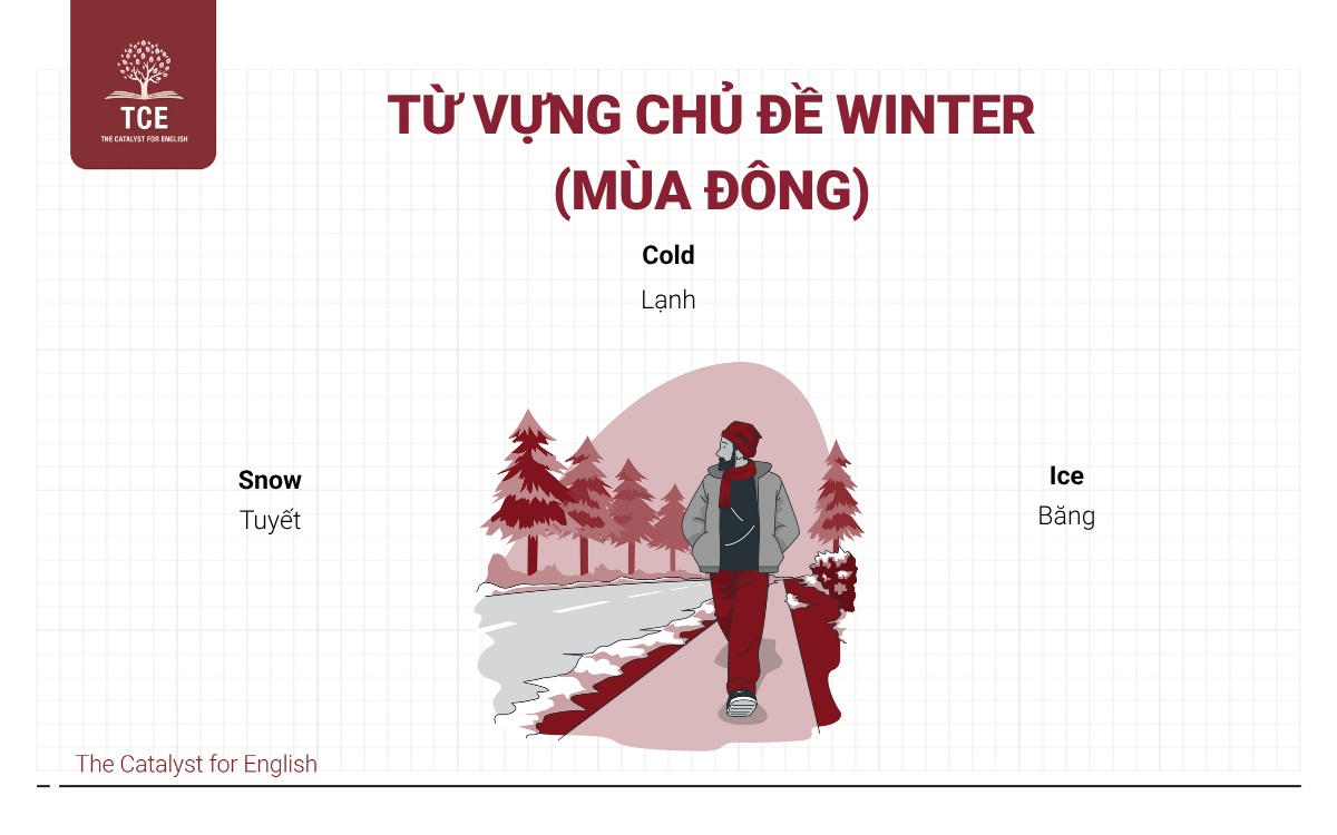 Từ vựng Flyers theo chủ đề: Winter (Mùa đông)