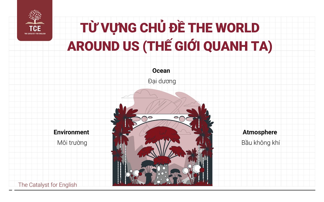 Từ vựng Flyers theo chủ đề: The world around us (Thế giới quanh ta)