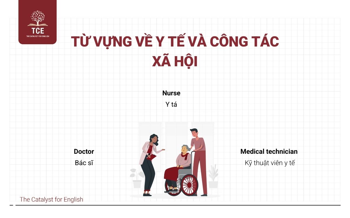 Từ vựng nghề nghiệp lĩnh vực Y tế và Công tác xã hội