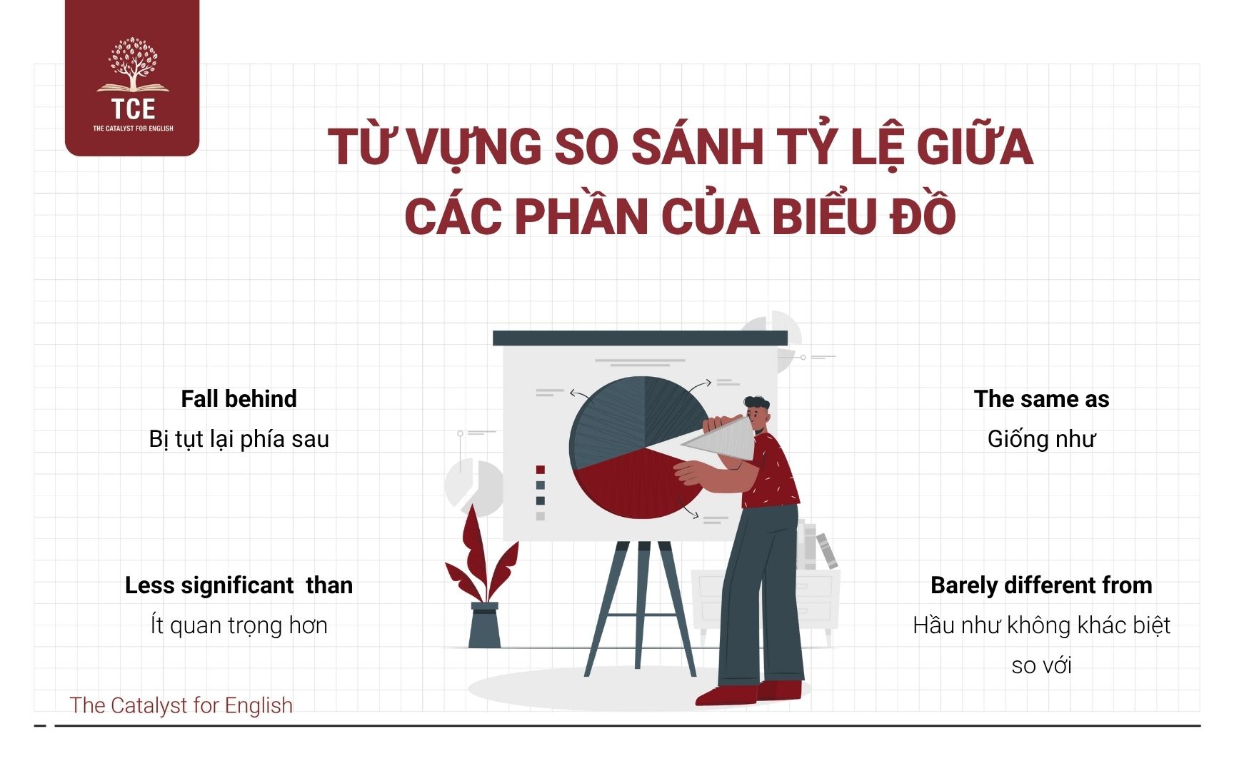 Từ vựng so sánh tỷ lệ giữa các phần của biểu đồ
