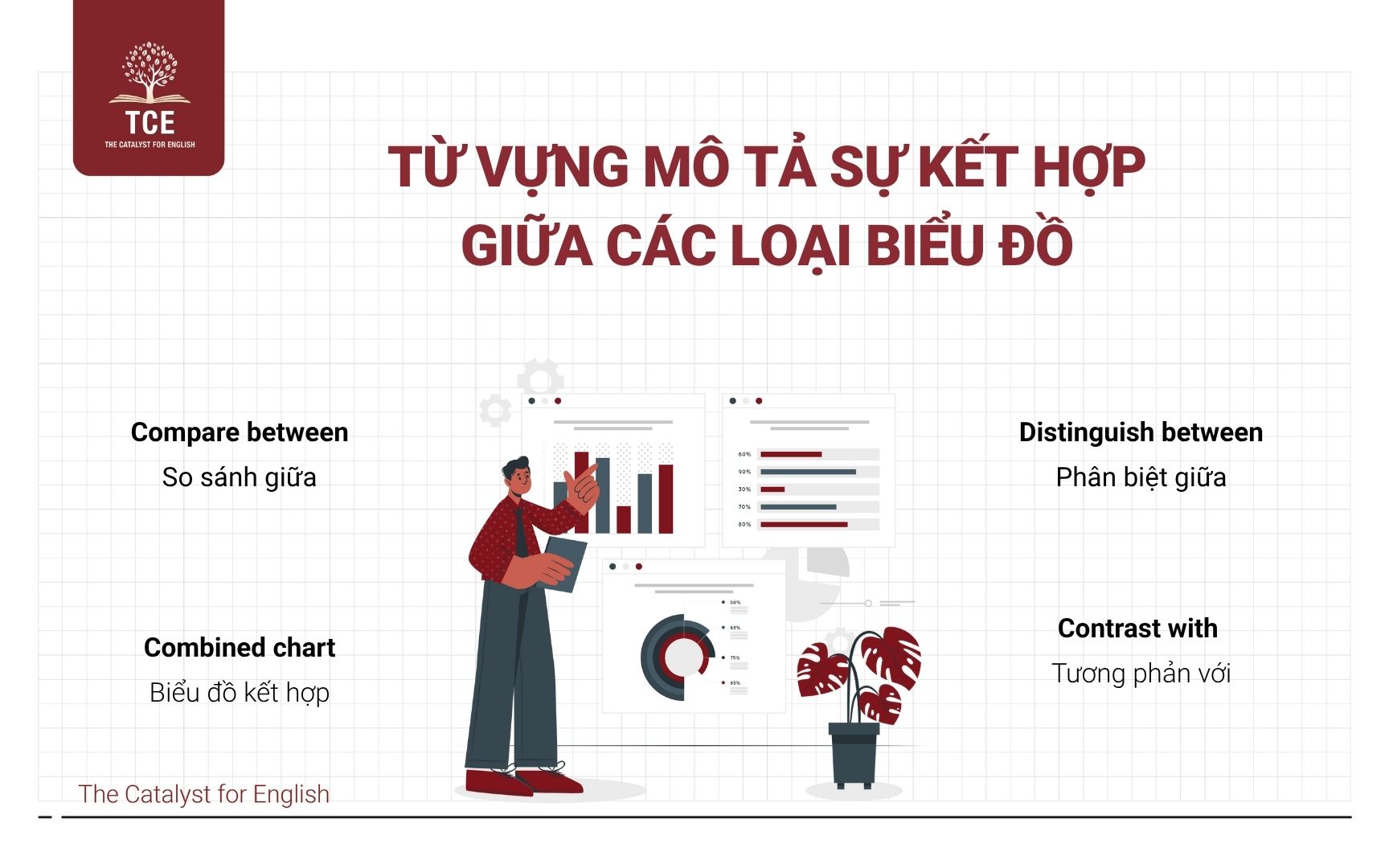 Từ vựng mô tả sự kết hợp giữa các loại biểu đồ