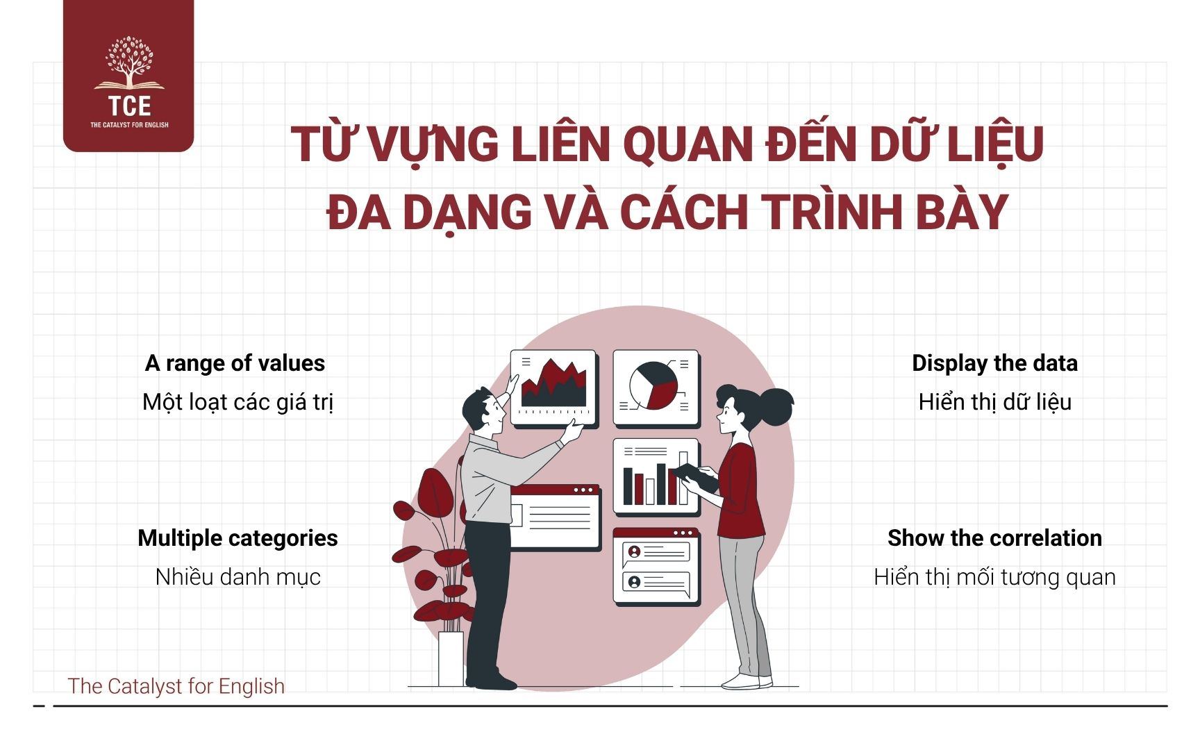 Từ vựng liên quan đến dữ liệu đa dạng và cách trình bày