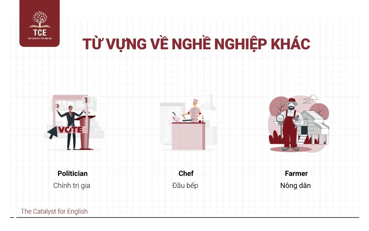 Từ vựng về nghề nghiệp khác