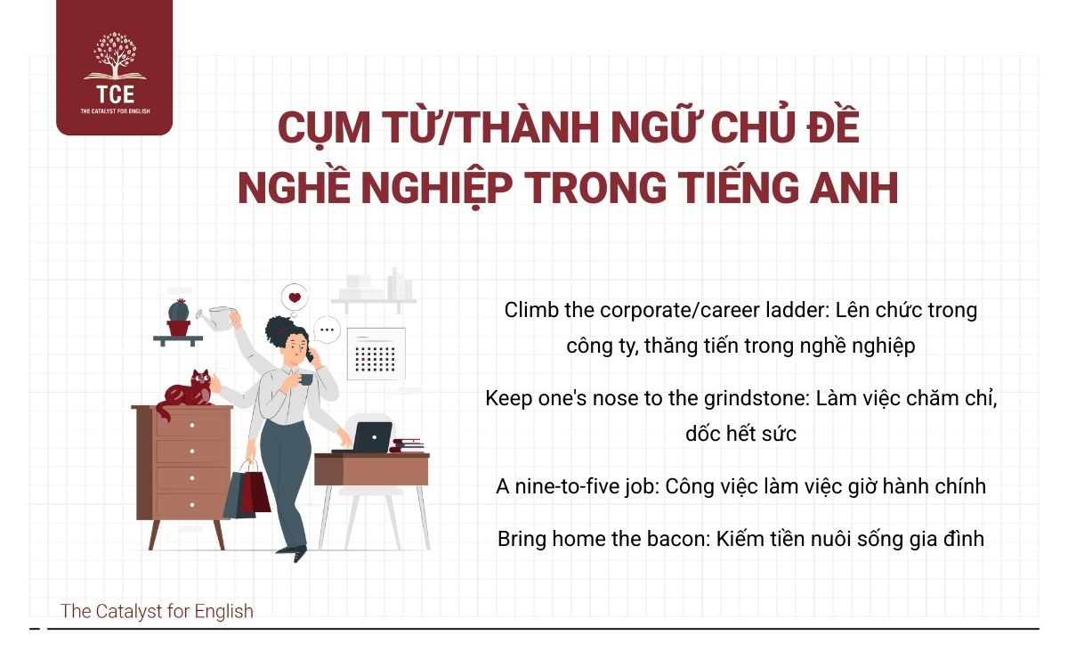 Cụm từ/Thành ngữ chủ đề nghề nghiệp trong tiếng Anh