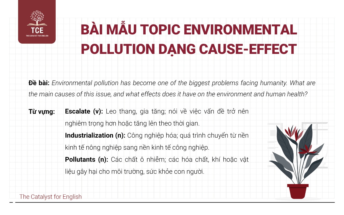 Bài mẫu IELTS Writing Task 2 topic Environmental Pollution Dạng Cause-Effect