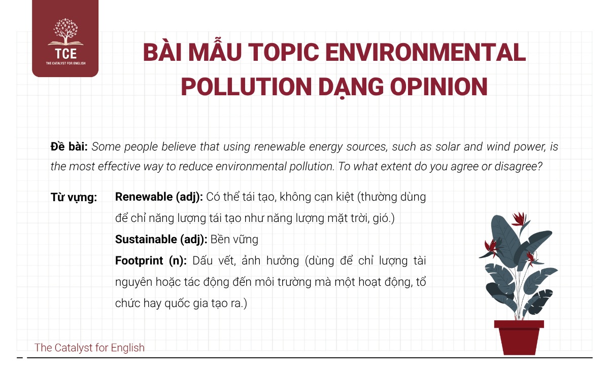 Bài mẫu IELTS Writing Task 2 topic Environmental Pollution dạng Opinion