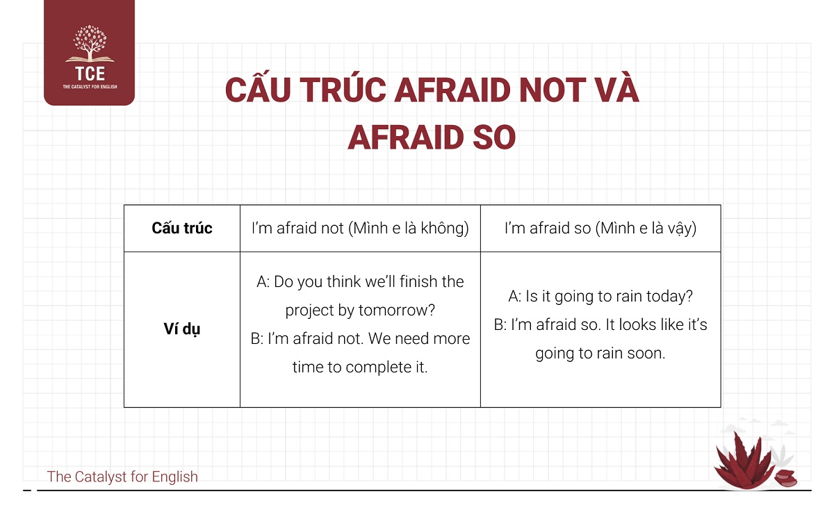Cấu trúc Afraid not và Afraid so