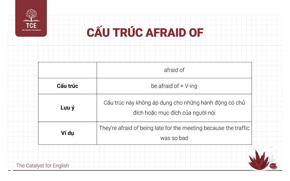 Cấu trúc afraid for