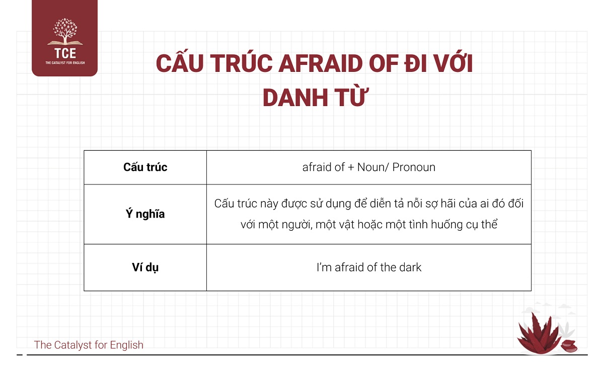 Cấu trúc afraid of đi với danh từ