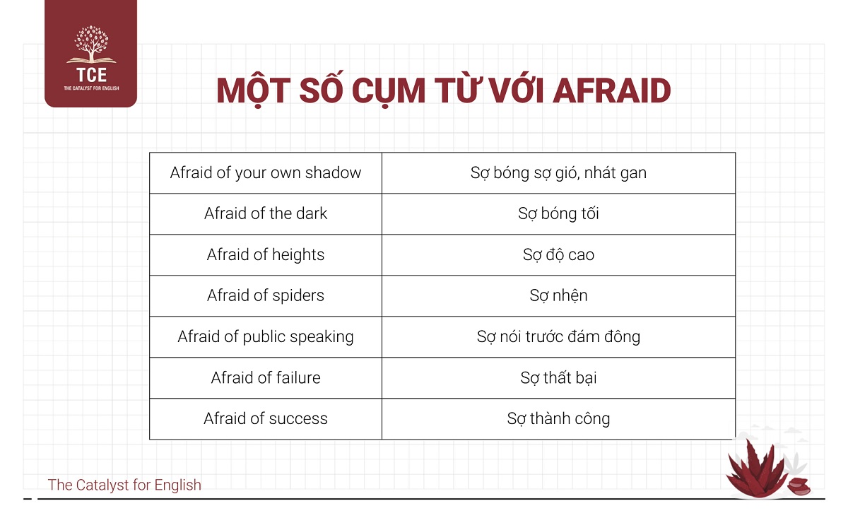 Một số cụm từ với Afraid trong tiếng Anh